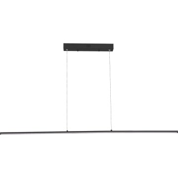 Zuma Line - LED-pendellampa med vajer LED/20W/230V svart