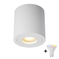 Zuma Line - LED RGBW dimbar badrumsspot 1xGU10/4,8W/230V IP44 vit + fjärrkontroll