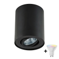 Zuma Line - LED RGBW dimbar spotlampa 1xGU10/4,8W/230V svart + fjärrkontroll