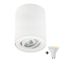 Zuma Line - LED RGBW dimbar spotlampa 1xGU10/4,8W/230V vit + fjärrkontroll