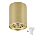 Zuma Line - LED RGBW dimbar spotlight 1xGU10/4,8W/230V guld + fjärrkontroll