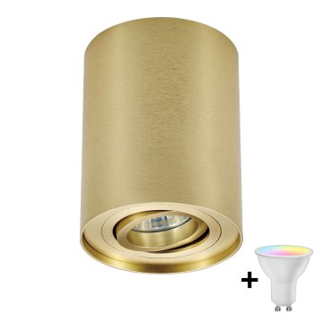 Zuma Line - LED RGBW dimbar spotlight 1xGU10/6W/230V guld + fjärrkontroll