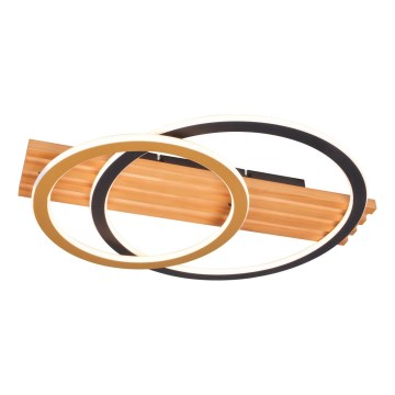 Zuma Line - LED-taklampa LED/40W/230V