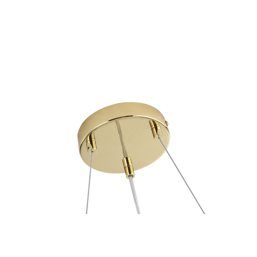 Zuma Line - Taklampa med kabelupphängning 6xG9/42W/230V Ø 74 cm guld