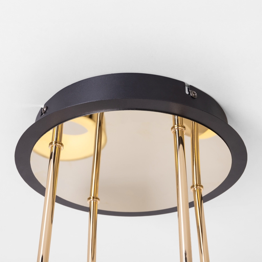 Zuma Line - LED-dimbar ytmonterad taklampa LED/60W/230V guld/svart