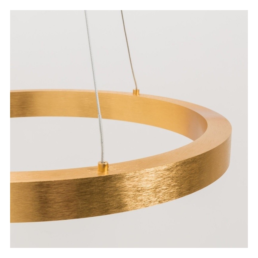 Zuma Line - LED Ljuskrona med upphängningsrem  1xLED/40W/230V diameter  50 cm gyllene 