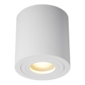 Zuma Line - Spotlampa 1xGU10/50W/230V IP44 vit