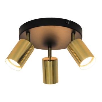 Zuma Line - Spotlight  3xGU10/50W/230V