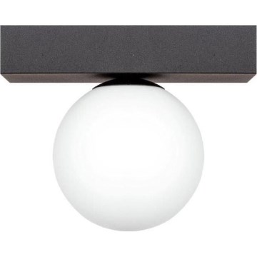 Zuma Line - Taklampa 1xG9/8W/230V svart