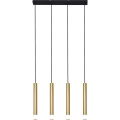 Zuma Line - Taklampa på kabel 4xG9/5W/230V guld