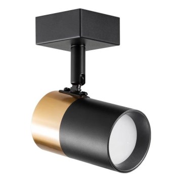 Zuma Line - Väggspotlight 1xGU10/50W/230V svart/guld