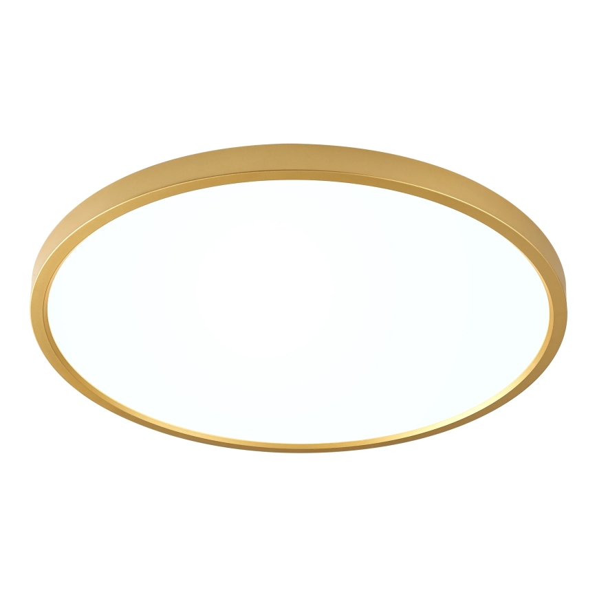 Zuma Line - LED-taklampa 36W/230V 3000/4000/6000K Ø 40 cm guld
